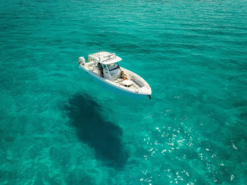 Slide: The Image of Everglades 355 CC 2019 - 4622619