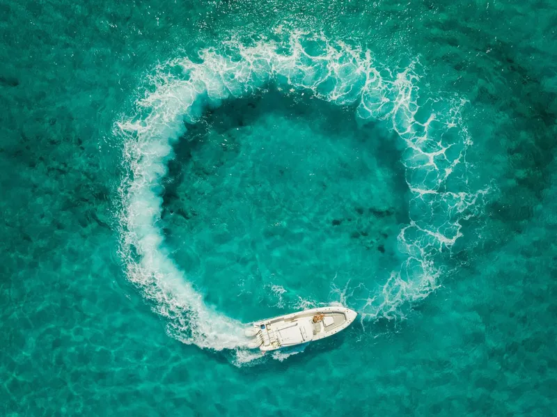 Slide: The Image of Everglades 355 CC 2019 - 4622620