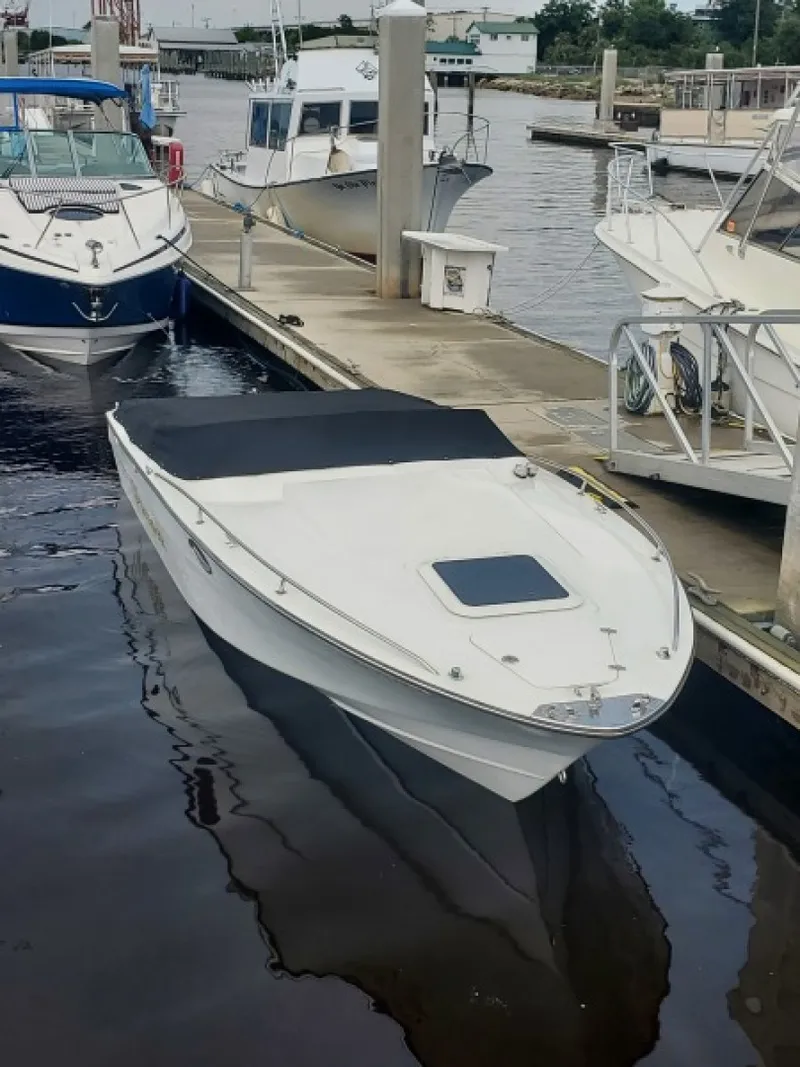 Slide: The Image of 8260323_0_240320221208_19 - 3237976