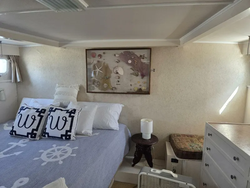 Slide: The Image of Trumpy 55 1966 - 5736248