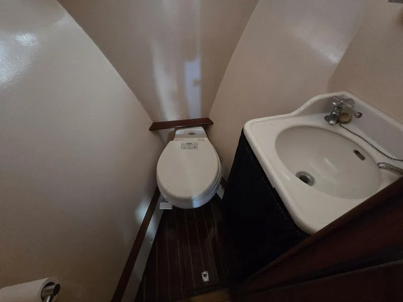 Slide: The Image of Trumpy 55 1966 - 5736258