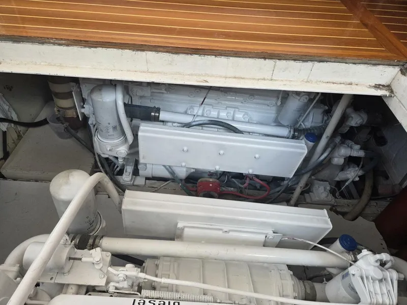 Slide: The Image of Trumpy 55 1966 - 5736263