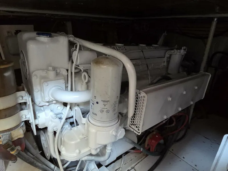 Slide: The Image of Trumpy 55 1966 - 5736265