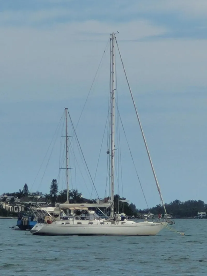 Slide: The Image of Stevens 47 1982 - 3332632