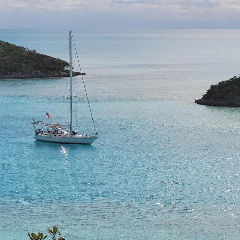 Slide: The Image of Stevens 47 1982 - 3332624