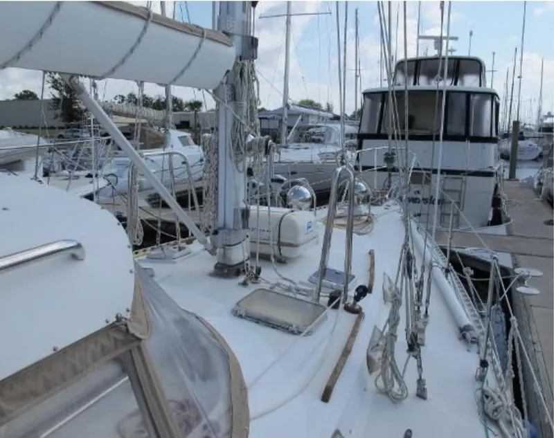 Slide: The Image of Stevens 47 1982 - 3332645