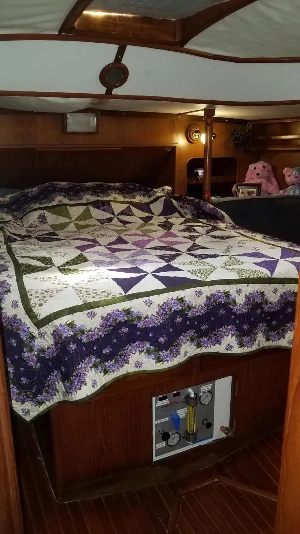 Slide: The Image of Stevens 47 1982 - 3332648