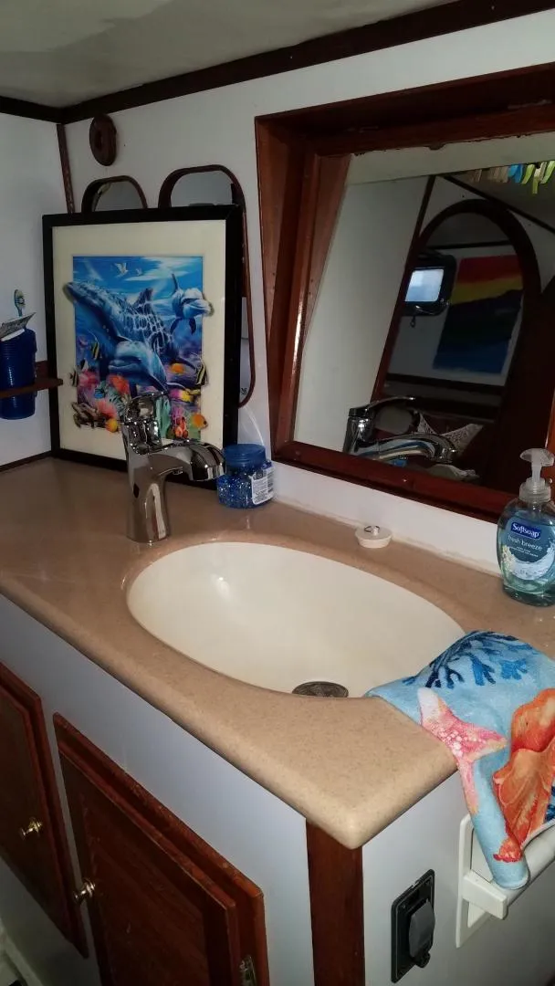 Slide: The Image of Stevens 47 1982 - 3332651