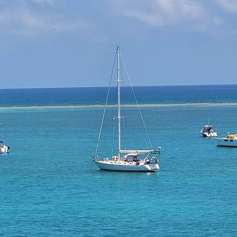 Slide: The Image of Stevens 47 1982 - 3332625