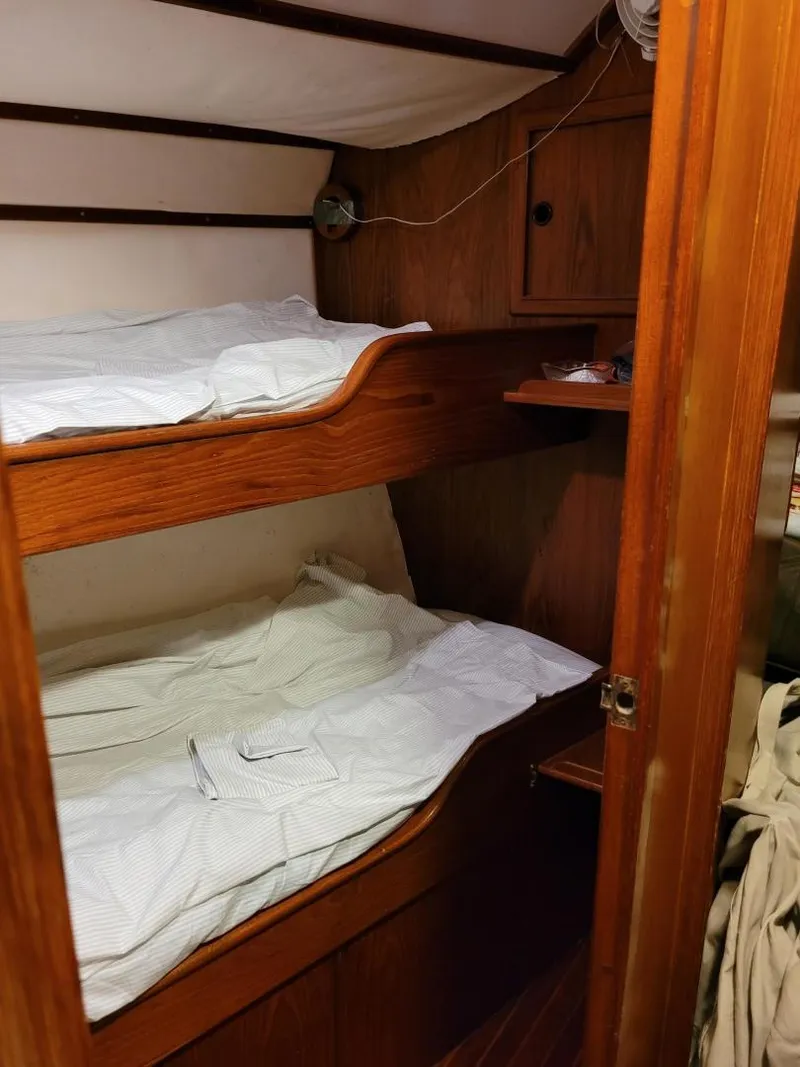 Slide: The Image of Stevens 47 1982 - 3332652