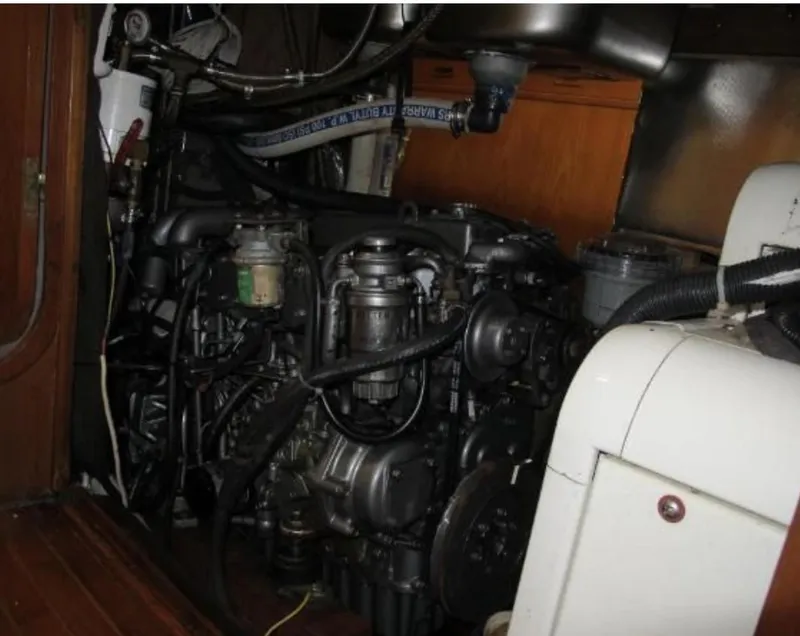 Slide: The Image of Stevens 47 1982 - 3332659