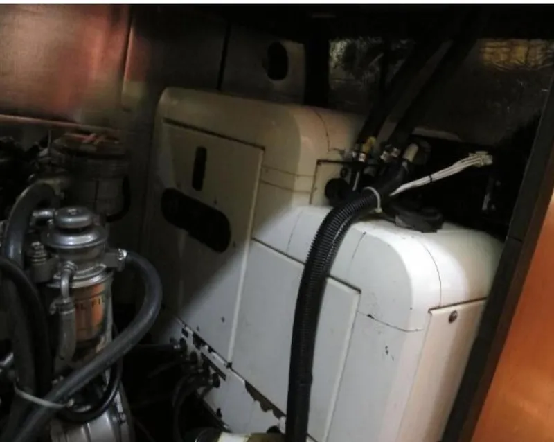 Slide: The Image of Stevens 47 1982 - 3332660