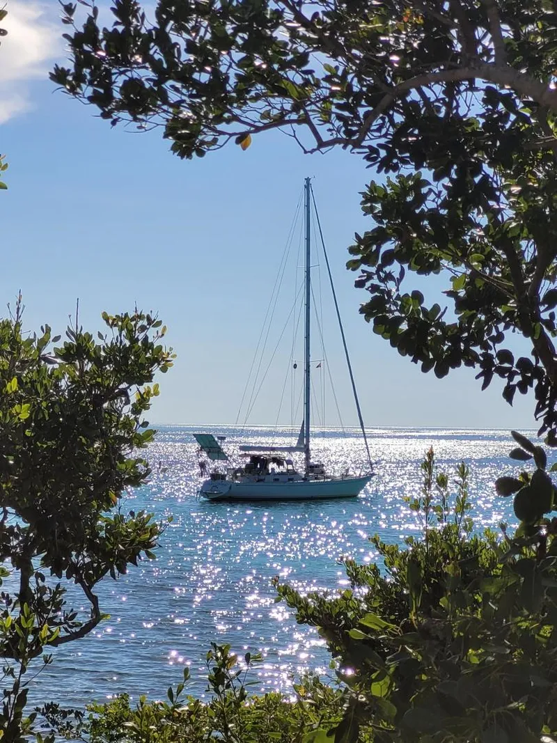 Slide: The Image of Stevens 47 1982 - 3332626