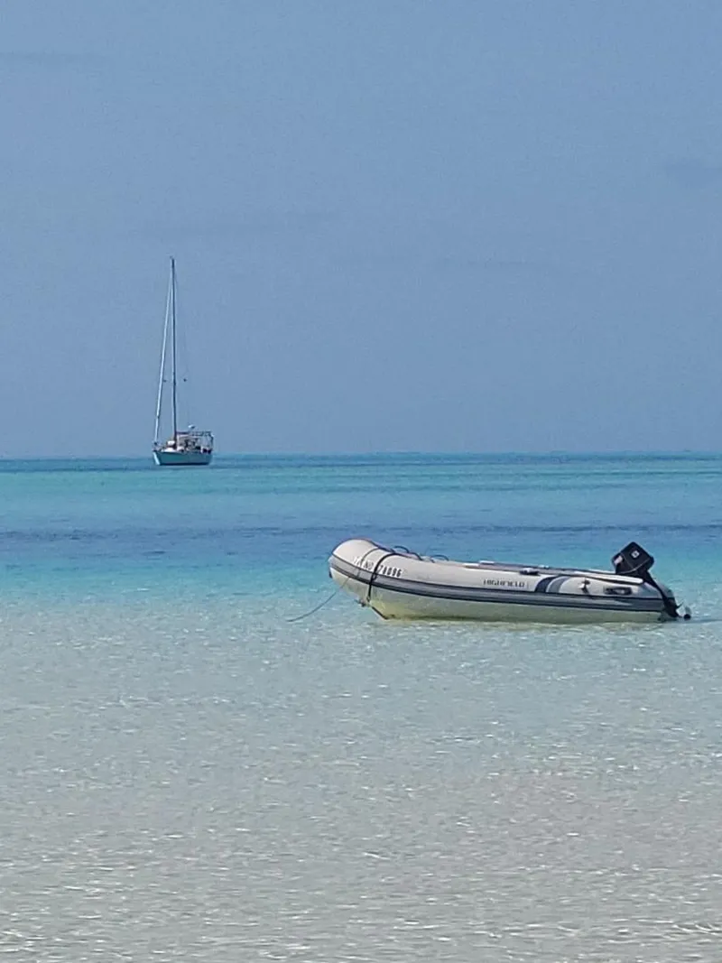 Slide: The Image of Stevens 47 1982 - 3332628