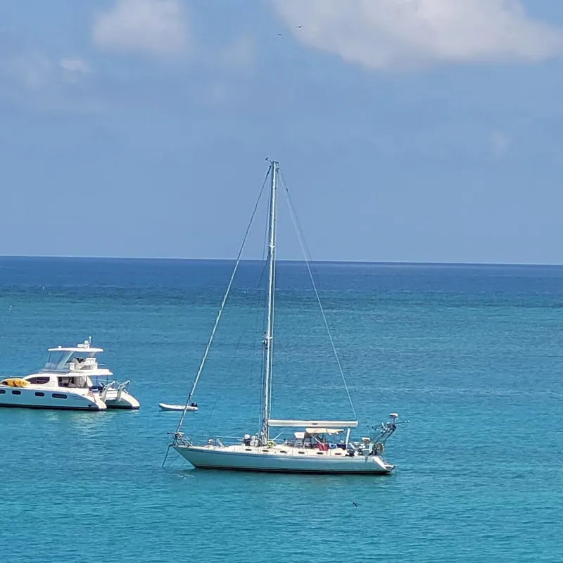 Slide: The Image of Stevens 47 1982 - 3332630