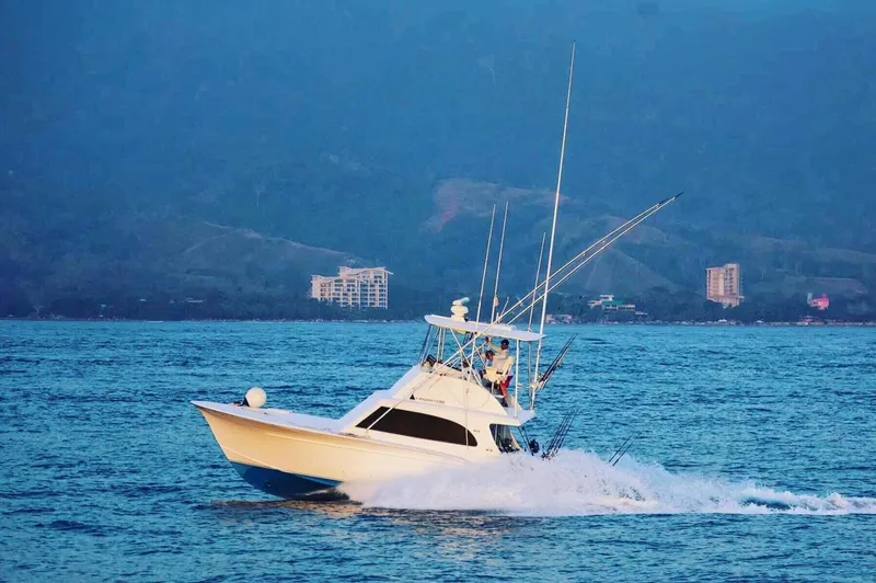 The Image of Sunny Briggs Custom Carolina 1984 - 3342149