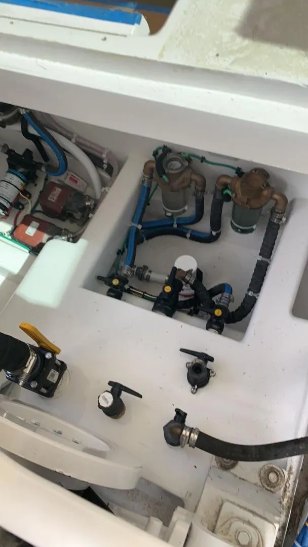 Slide: The Image of Sunny Briggs Custom Carolina 1984 - 3342159