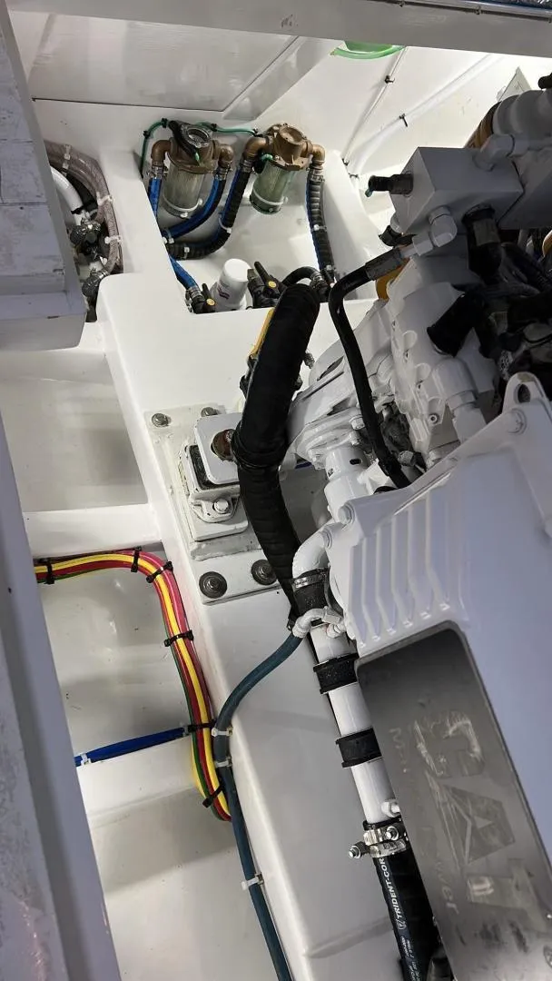 Slide: The Image of Sunny Briggs Custom Carolina 1984 - 3342163