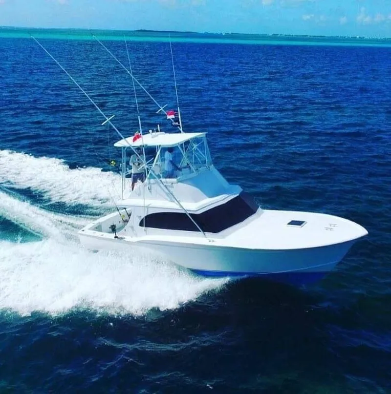 Slide: The Image of Sunny Briggs Custom Carolina 1984 - 3342151