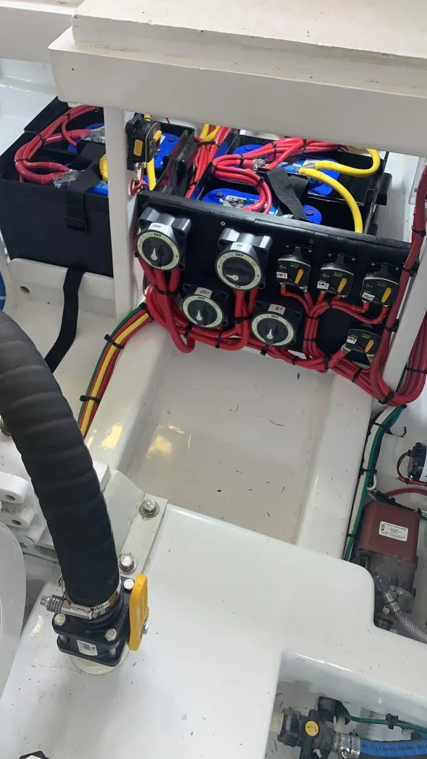 Slide: The Image of Sunny Briggs Custom Carolina 1984 - 3342154