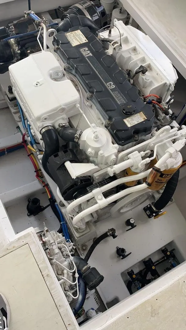 Slide: The Image of Sunny Briggs Custom Carolina 1984 - 3342157