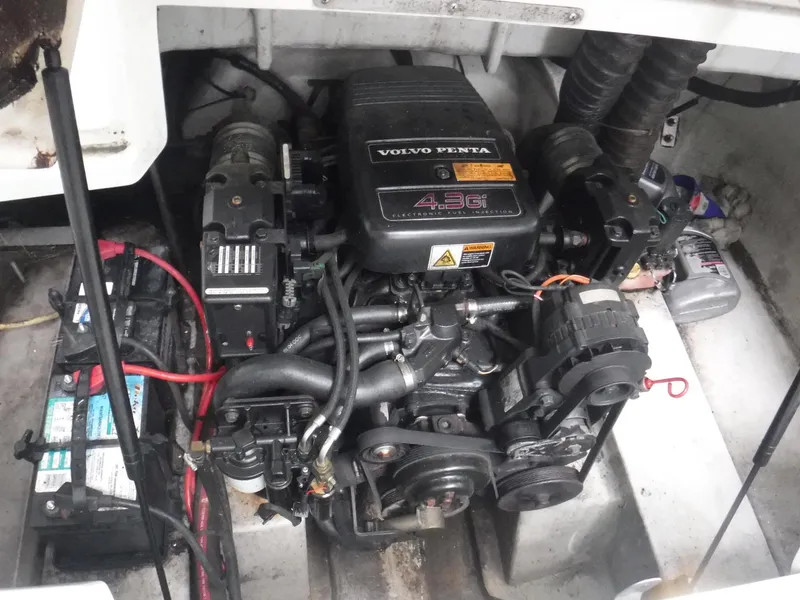 Slide: The Image of Cobalt 20 2000 - 3385723