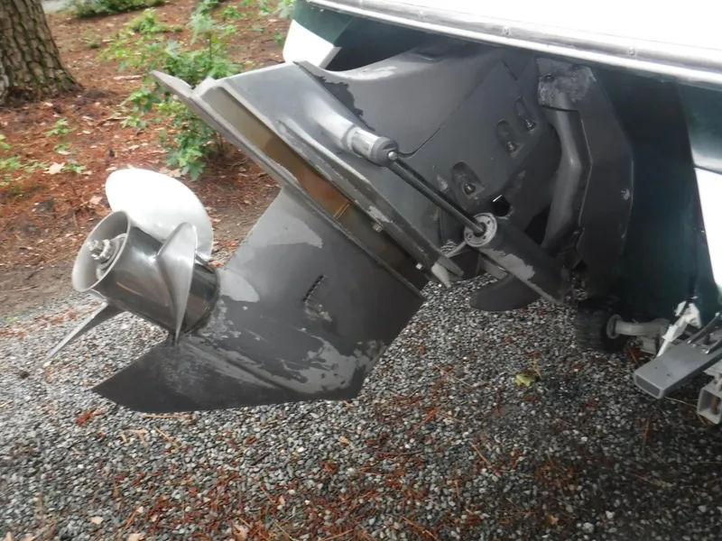 Slide: The Image of Cobalt 20 2000 - 3385725