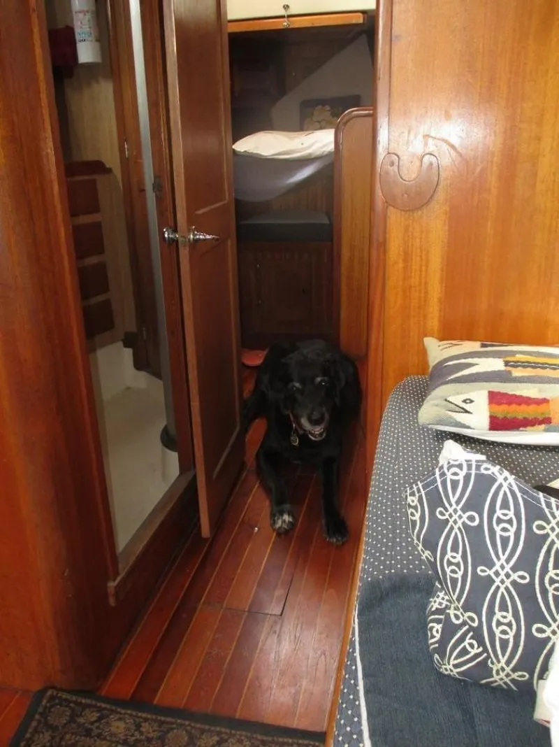 Slide: The Image of Bristol Yawl 1979 - 3393932