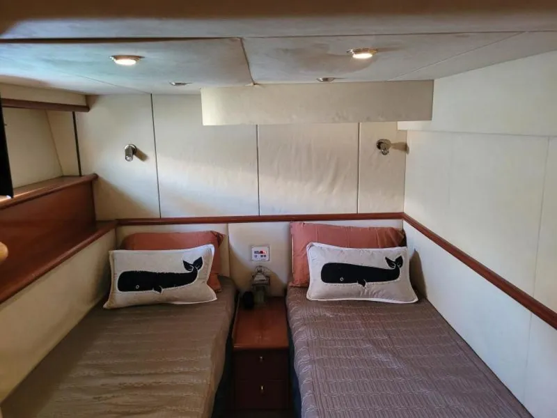 Slide: The Image of Sunseeker Predator 58 1999 - 3546384