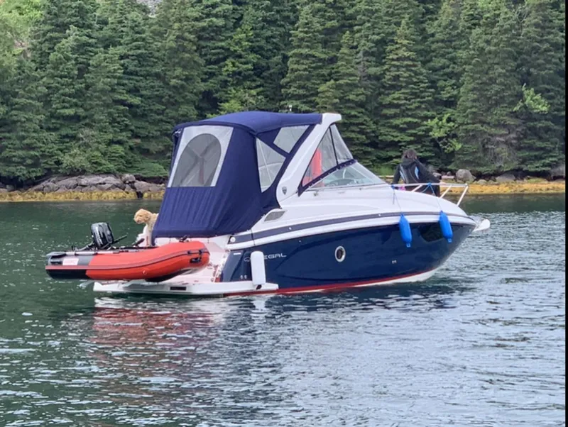 Slide: The Image of Regal Express 2017 - 3701093