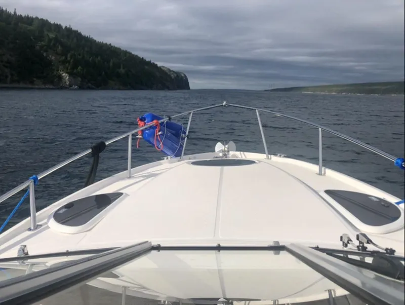 Slide: The Image of Regal Express 2017 - 3701096