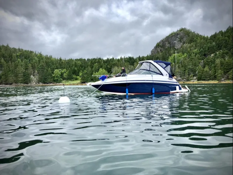 Slide: The Image of Regal Express 2017 - 3701092