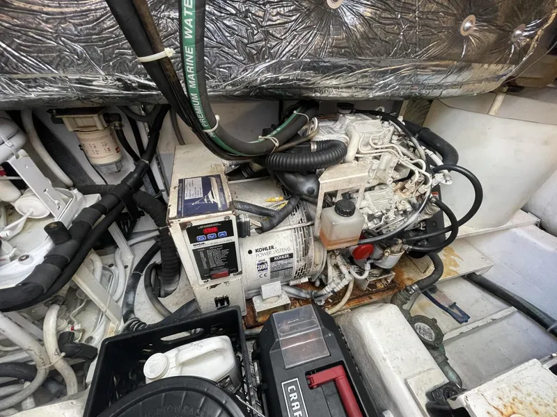 Slide: The Image of Tiara Sovran 2005 - 3553033