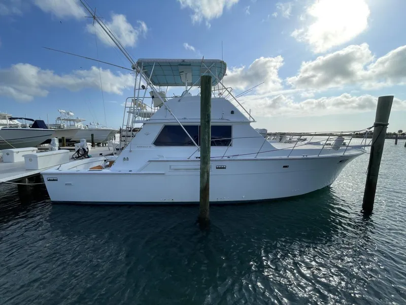 The Image of Bertram 42 Convertible 1984 - 3613128