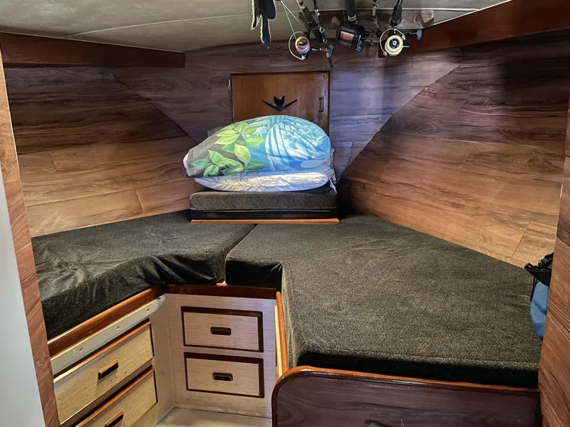 Slide: The Image of Bertram 42 Convertible 1984 - 3621567