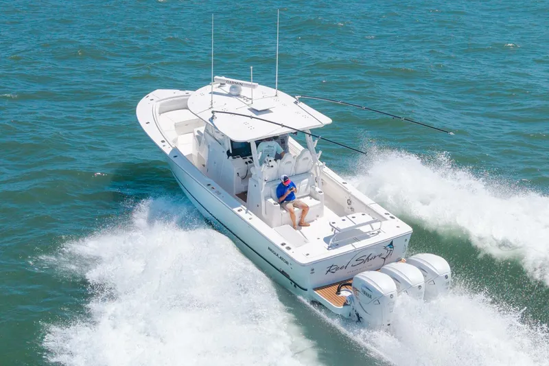 Slide: The Image of 37 Regulator 2022 Dave 07 - 5454878