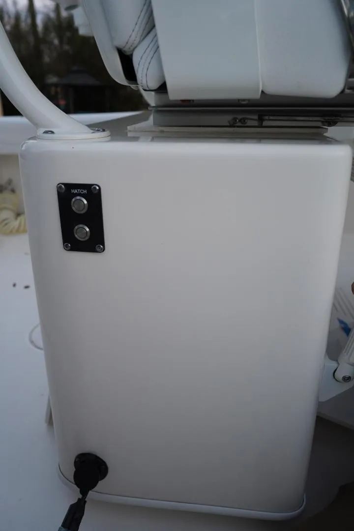 Slide: The Image of Cobia 262 2022 - 3662344