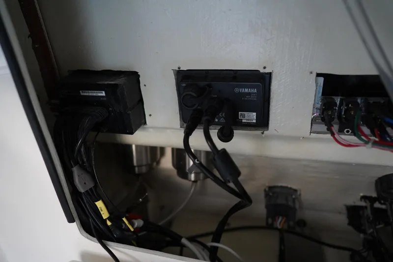 Slide: The Image of Cobia 262 2022 - 3662350