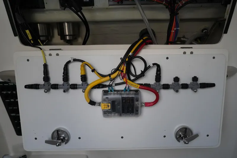 Slide: The Image of Cobia 262 2022 - 3662352