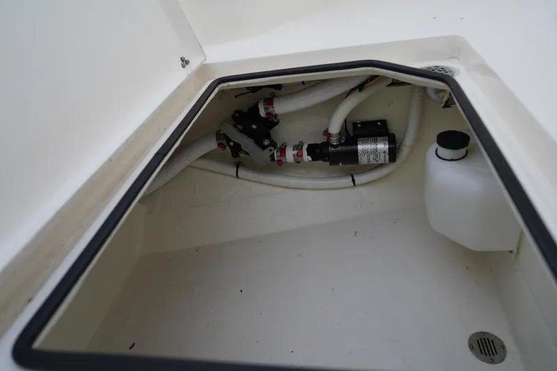 Slide: The Image of Cobia 262 2022 - 3662370