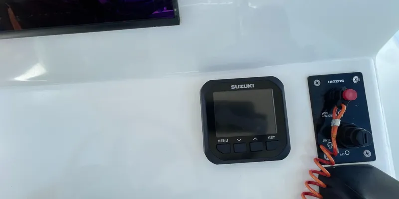 Slide: The Image of Andros Tarpon 26 2006 - 3665851