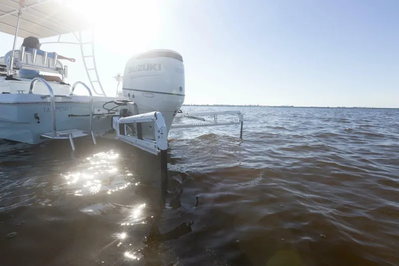 Slide: The Image of Andros Tarpon 26 2006 - 3877262