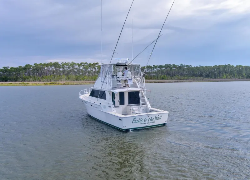 Slide: The Image of 1981 Bertram 42 Convertible Balls To The Wall Transom - 3686966