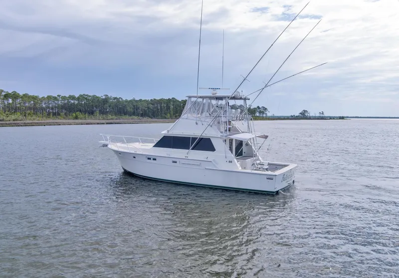 Slide: The Image of 1981 Bertram 42 Convertible Balls To The Wall Port Profile 2 - 3687027