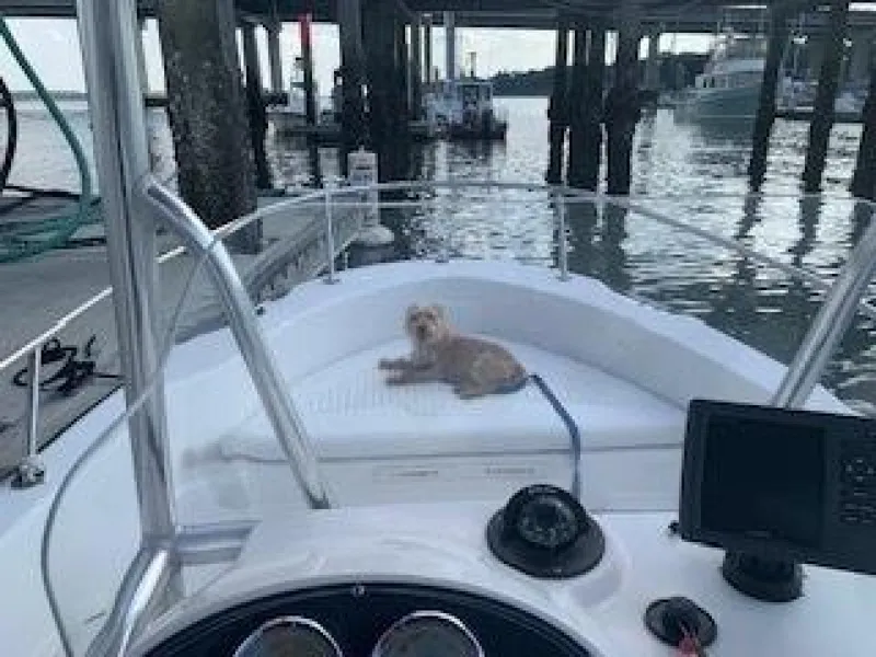 Slide: The Image of Boston Whaler Dauntless 180 2003 - 3672541