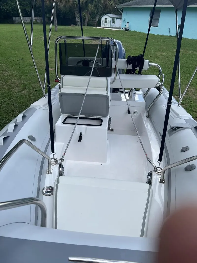 Slide: The Image of Novurania 15 2020 - 3679565