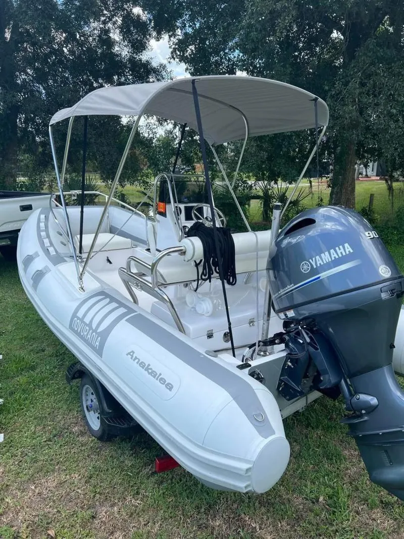 Slide: The Image of Novurania 15 2020 - 3679567