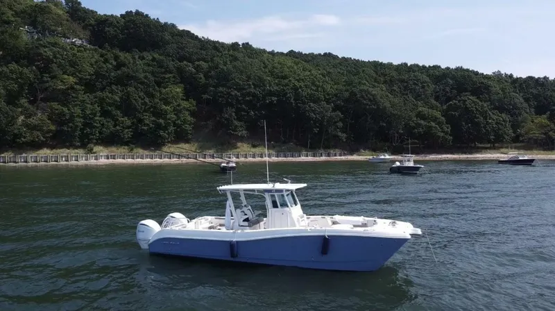 The Image of World Cat 325 CC 2022 - 3753795