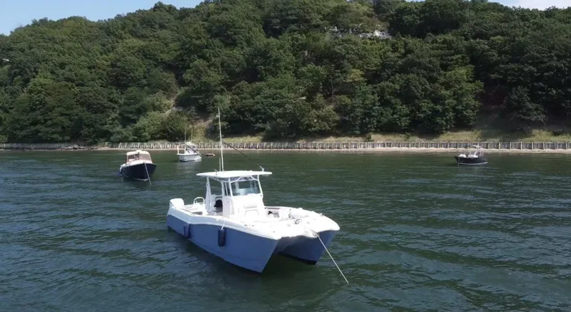 Slide: The Image of World Cat 325 CC 2022 - 3758324