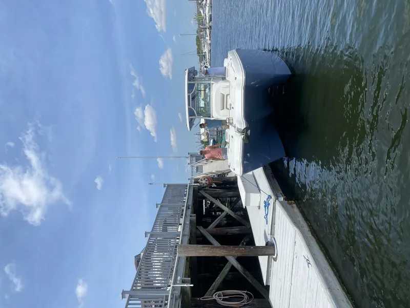 Slide: The Image of World Cat 325 CC 2022 - 3758325